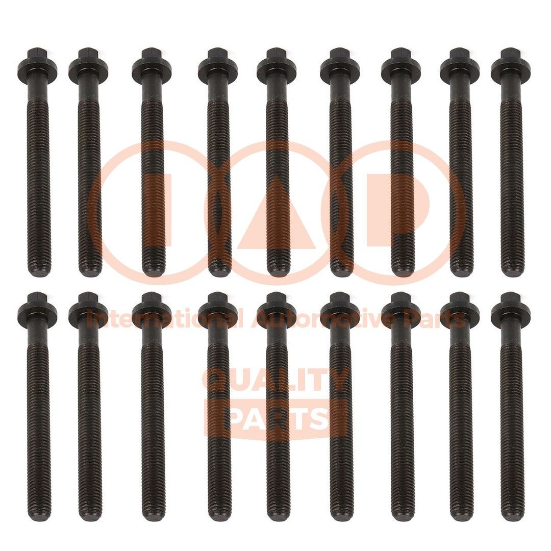 IAP QUALITY PARTS Klapikaanekruvikomplekt 119-10051 Plokikaane poldid IAP QUALITY PARTS SCÉNIC 119-10051 odav
