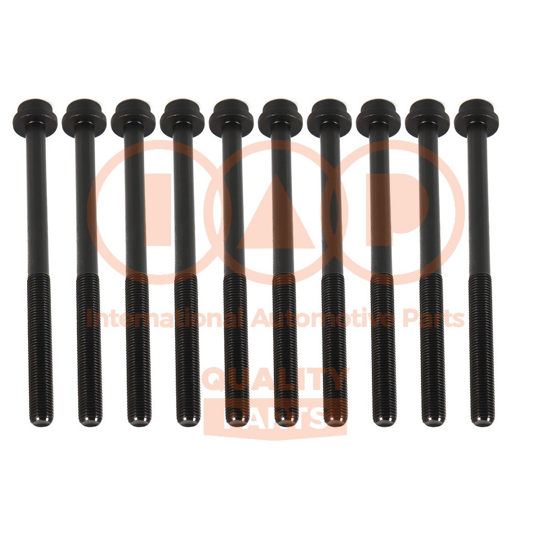 Kit bulloni testata IAP QUALITY PARTS 119-11058 IAP QUALITY PARTS 119-11058 costo Bulloni testata Mazda 3 2025