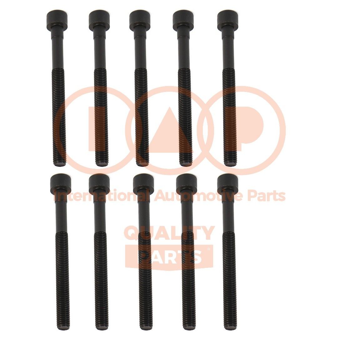 IAP QUALITY PARTS Kit bulloni testata 119-13094 119-13094 Bulloni testata IAP QUALITY PARTS NISSAN NAVARA costo