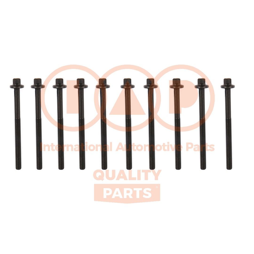 IAP QUALITY PARTS Kit bulloni testata 119-13161 119-13161 Bulloni testata IAP QUALITY PARTS NISSAN NAVARA costo