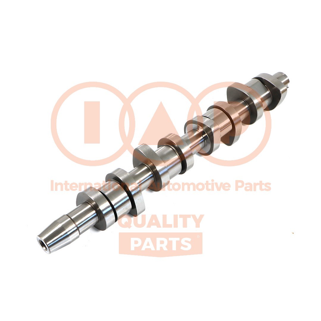 IAP QUALITY PARTS Albero a camme 124-50032 124-50032 Albero a camme IAP QUALITY PARTS Volkswagen AMAROK costo