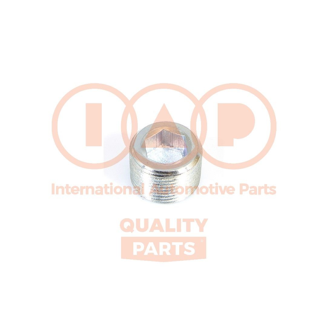 IAP QUALITY PARTS Uzatváracia skrutka, olejová vaňa 162-16076 Skrutka olejovej vane IAP QUALITY PARTS AVENSIS 162-16076 lacné