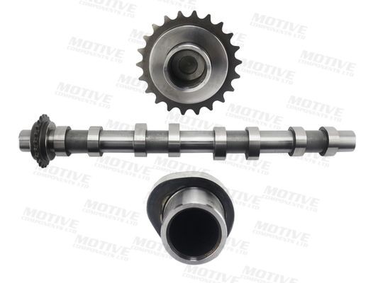 Nokkenas motive T4477 motive T4477 Nokken-as Ford FOCUS 2022