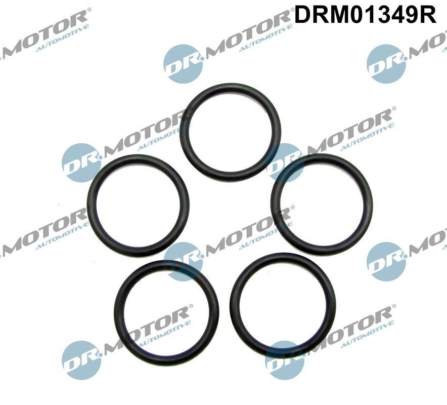 DR.MOTOR AUTOMOTIVE Blīvgredzens, Eļļas noliešanas korķis DRM01349R DRM01349R DR.MOTOR AUTOMOTIVE Blīvgredzens eļļas noliešanas korķis Audi lēti