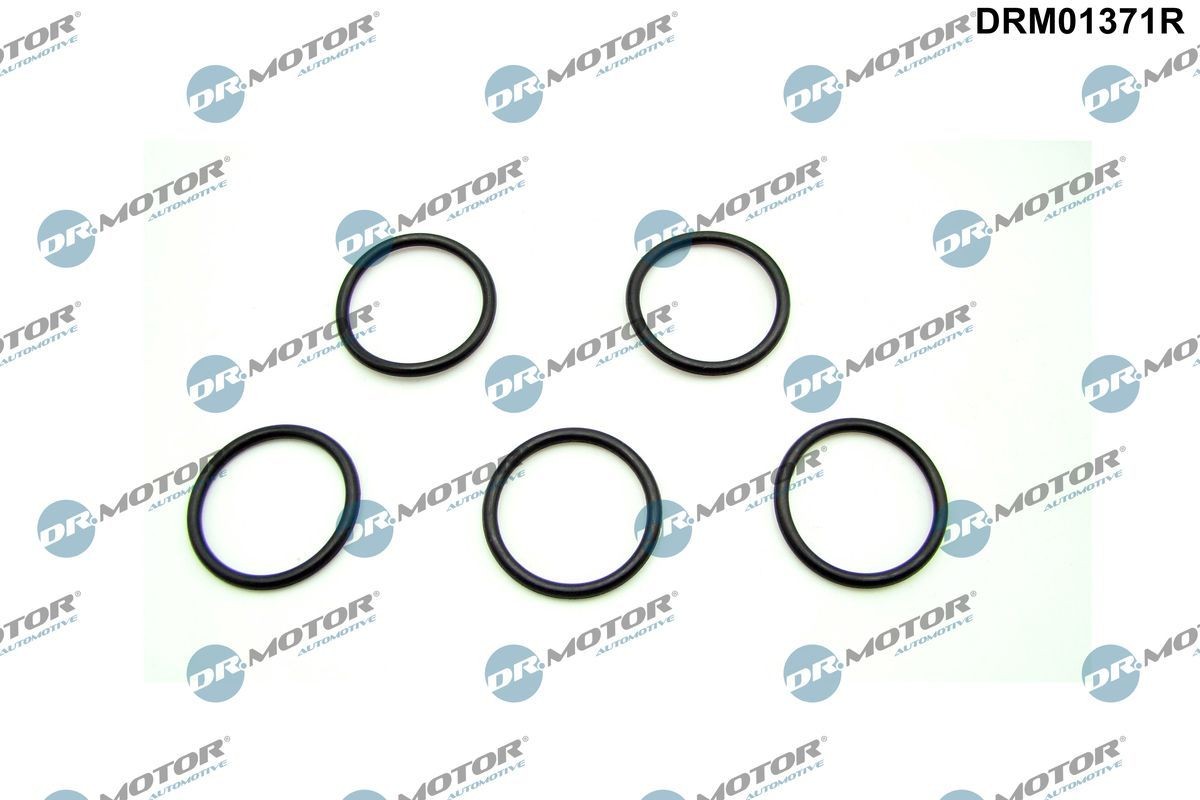 DR.MOTOR AUTOMOTIVE Seal, oil drain plug DRM01371R JEEP GRAND CHEROKEE DR.MOTOR AUTOMOTIVE oil drain plug gasket DRM01371R