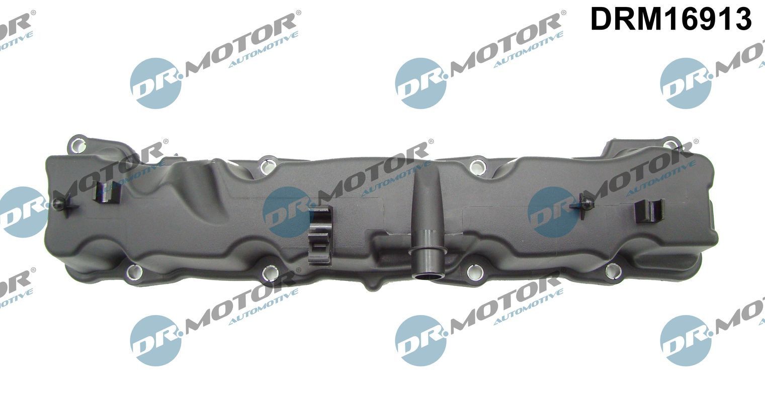 DR.MOTOR AUTOMOTIVE Coperchio punterie DRM16913 DRM16913 costo Coperchio punterie PEUGEOT 207 DR.MOTOR AUTOMOTIVE
