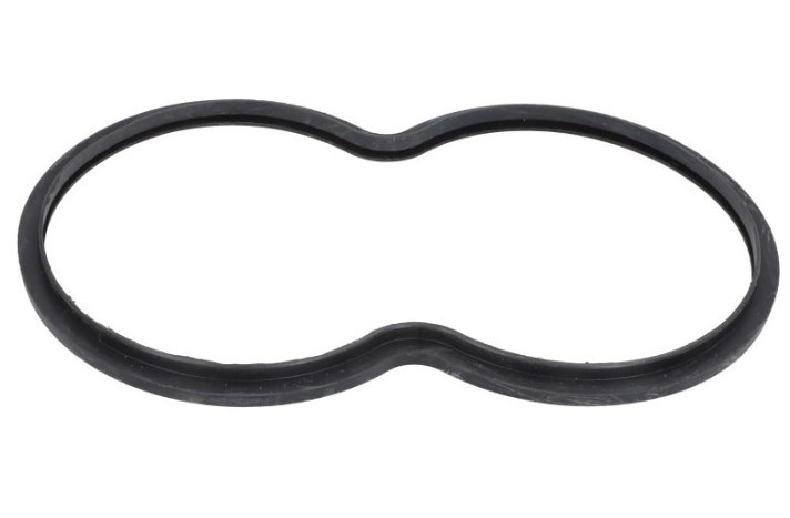 LEMA Pakning, termostathus 24808.10 Pakning termostat LEMA GRAND VOYAGER 24808.10 billig