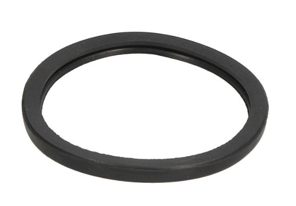 LEMA Pakking, thermostaat 24808.00 24808.00 Thermostaat pakking BMW X4 LEMA
