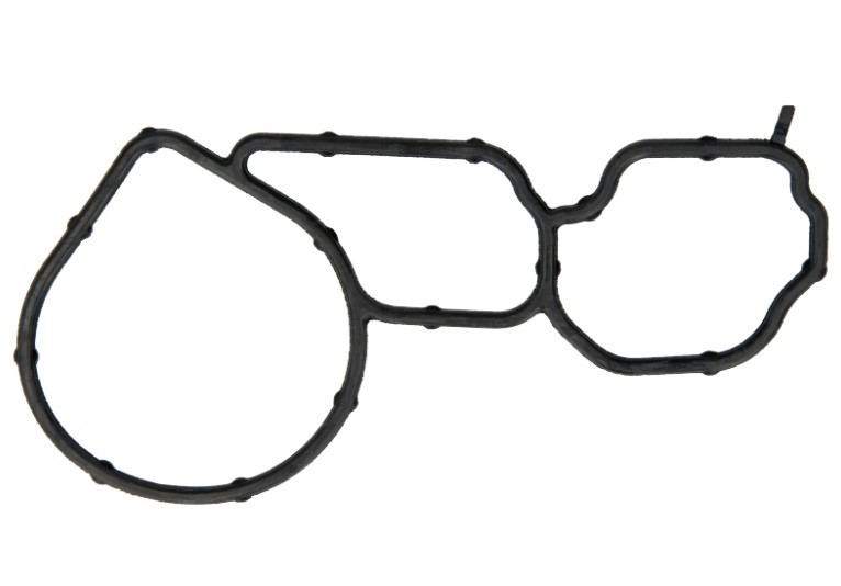 LEMA Junta, bomba de água 24246.04 Junta de bomba de água LEMA Ford TOURNEO CUSTOM 24246.04