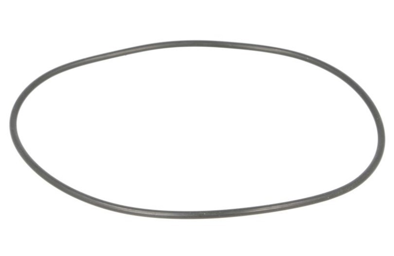 LEMA Joint d'étanchéité, pompe à eau 104875 Joint pompe à eau FIAT LEMA 104875