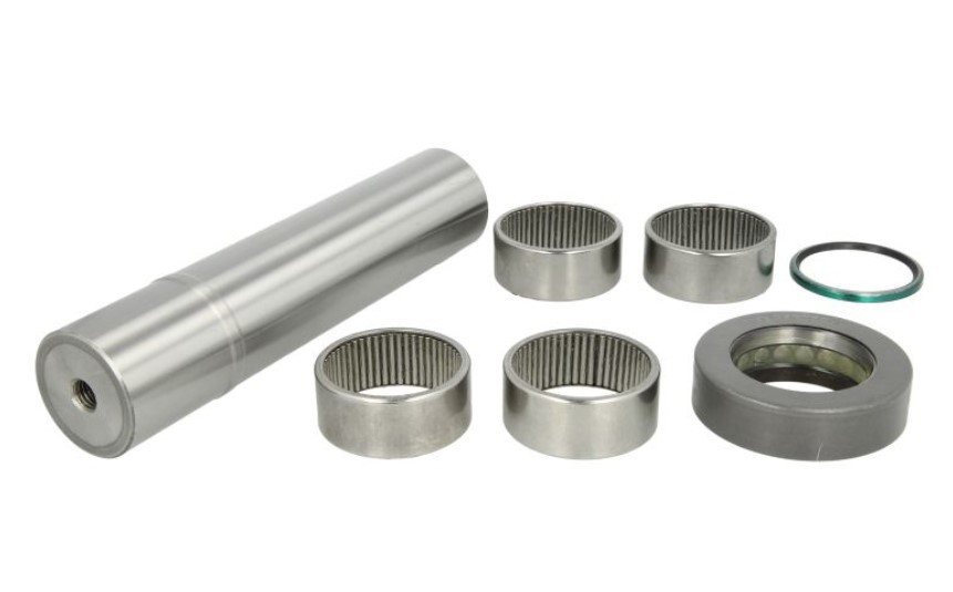 LEMA Kit riparazione, Perno fuso a snodo 225 LEMA 225 Perno del fuso a snodo Mercedes S203 originale prezzo