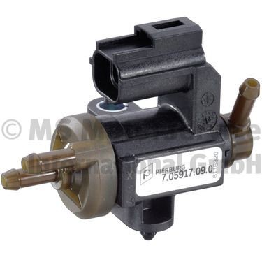 PIERBURG Valvola, Controllo gas scarico ÁGR 7.05917.09.0 PIERBURG 7.05917.09.0 AGR F-250 Super Duty Extended Cab Pick-up (P356) prezzo
