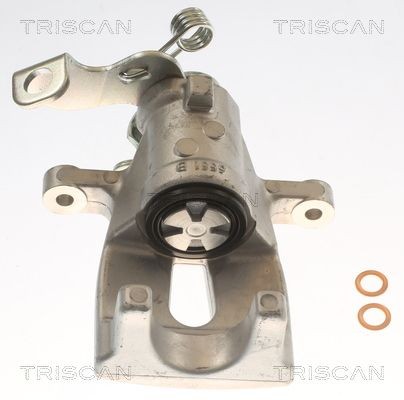 TRISCAN Étrier de frein 8175 43250 Étrier de frein TRISCAN RIO 8175 43250 pas cher