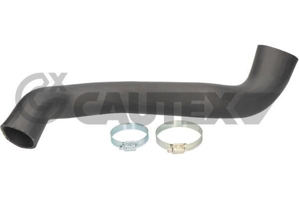 CAUTEX Pūtes sistēmas gaisa caurule 775857 775857 Pūtes sistēmas gaisa caurule FORD MONDEO CAUTEX