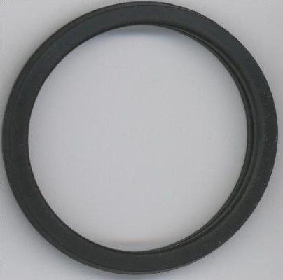 ELRING Guarnizione, Termostato 027.450 ELRING 027.450 Guarnizione di tenuta acqua raffreddamento Ford Mondeo Mk5 Station Wagon originali prezzo