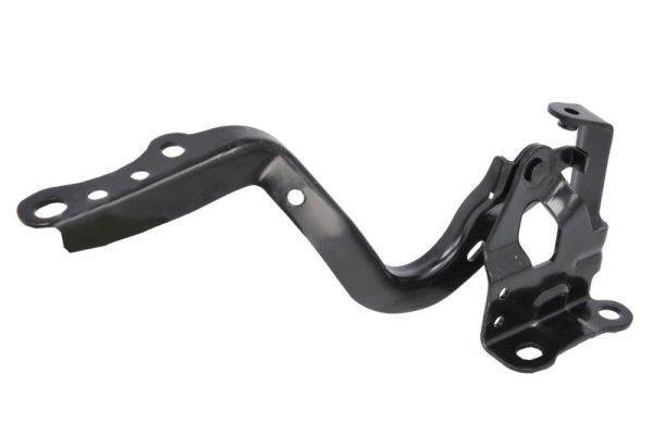 BLIC Cerniera, Cofano motore 6802-00-8189452P 6802-00-8189452P Cofano anteriore TOYOTA COROLLA BLIC costo