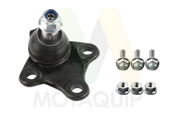 MOTAQUIP Testina braccio oscillante LVSJ1294 LVSJ1294 MOTAQUIP Testina braccio oscillante PEUGEOT prezzo