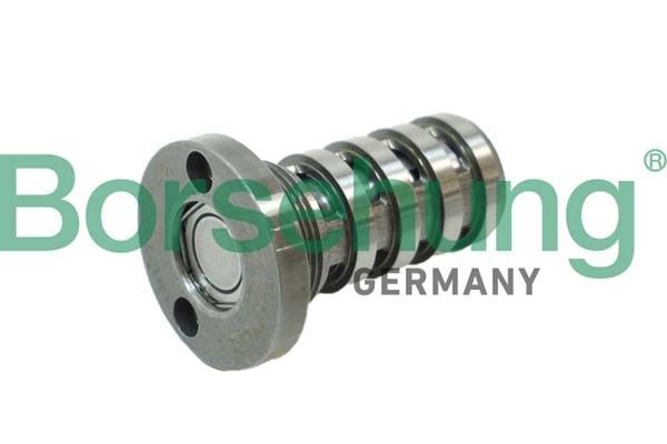 Borsehung Centrálny ventil pre nastavovanie vačkového hriadeľa B12123 Riadiaci ventil nastavenia vačkového hriadeľa Borsehung ZAFIRA B12123 lacné