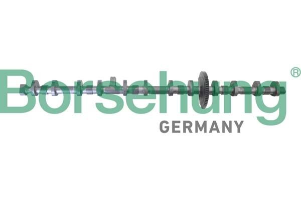 Borsehung Ρυθμιστής εκκεντροφόρου άξονα B12296 Οδοντοτροχός, εκκεντροφόρος άξονας Borsehung SEAT B12296