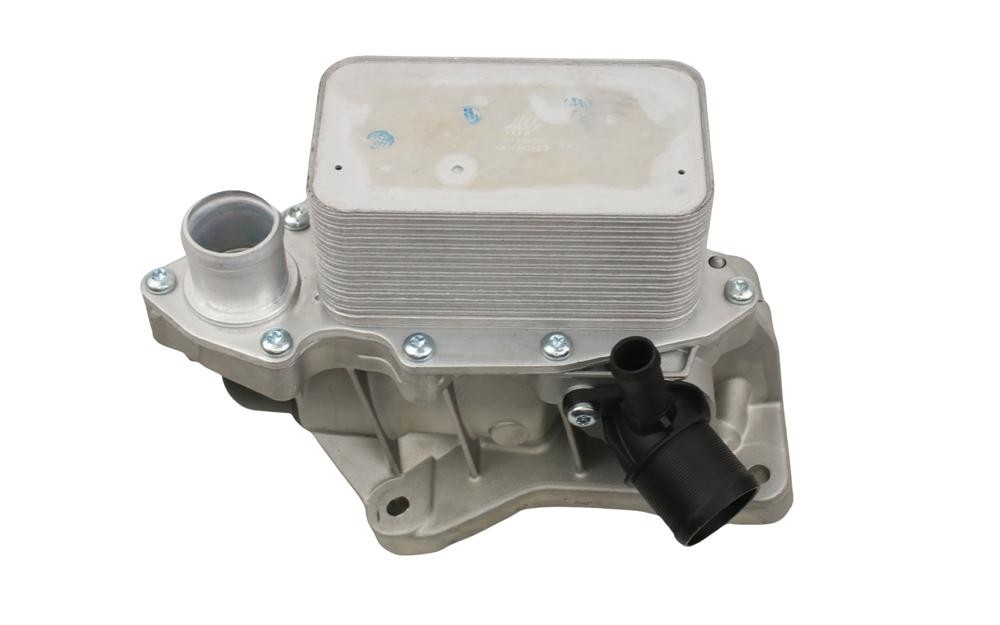 FAST Eļļas radiators, Motoreļļa FT55426 FAST FT55426 Eļļas radiators Movano B Platforma / Šasija (X62) orģinālās cena