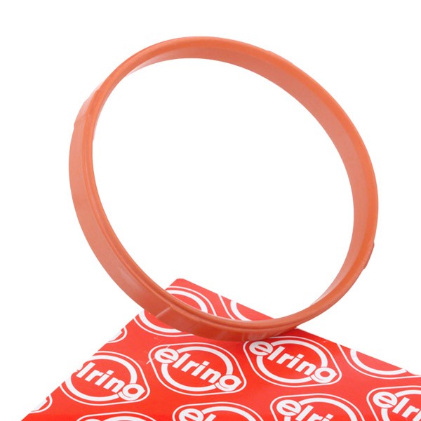 ELRING Guarnizione, Collettore aspirazione 359.380 ELRING 359.380 Guarnizione collettore aspirazione 3 Touring (E46) prezzo