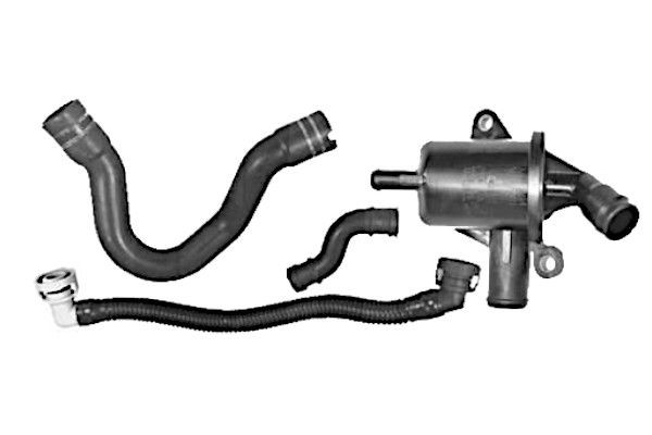 GOOM Slang, ontluchting motorblok CBH-0081 Carterontluchting RENAULT GOOM CBH-0081