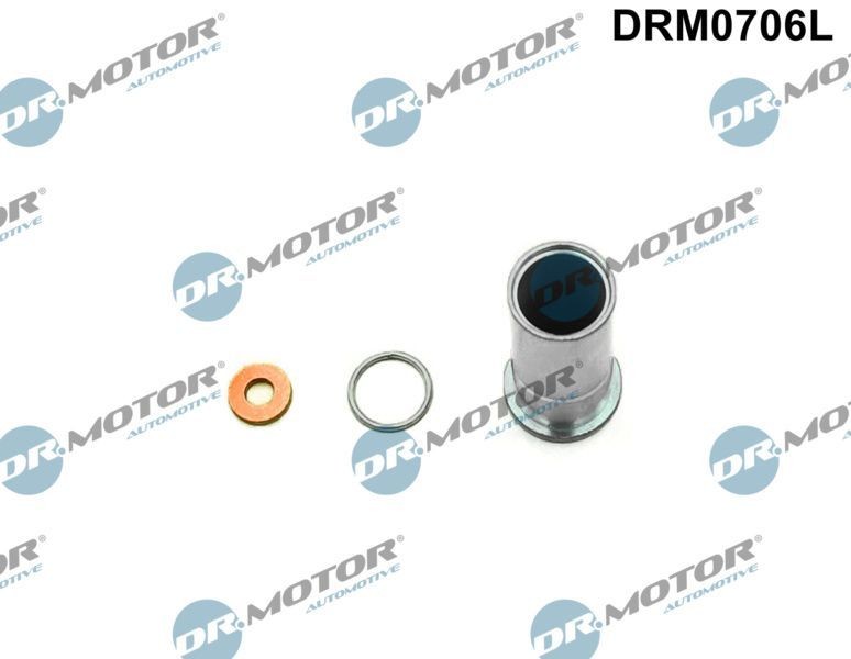 DR.MOTOR AUTOMOTIVE Kit riparazione, Iniettore DRM0706L DR.MOTOR AUTOMOTIVE DRM0706L Kit riparazione, iniettore Renault Laguna 1 Grandtour originale prezzo