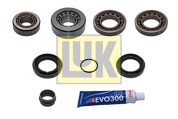 LuK Kit de reparação, diferencial 462 0398 10 Kit de reparação diferencial LuK VIVARO 462 0398 10 baratos