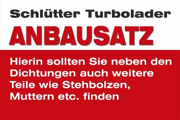 SCHLÜTTER TURBOLADER Monteringssett, lader 253-19113S Monteringssett lader SCHLÜTTER TURBOLADER BALENO 253-19113S billige