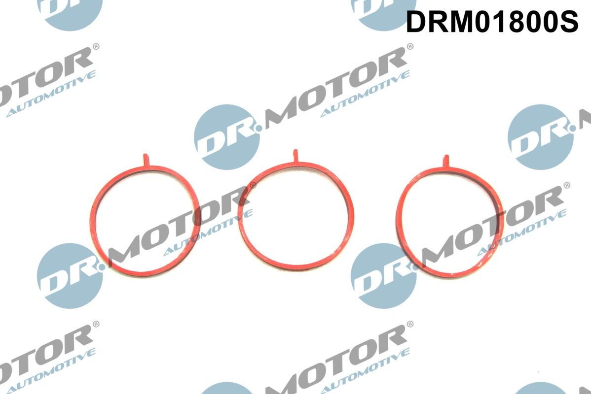 DR.MOTOR AUTOMOTIVE Dichtungssatz, Ansaugkrümmer DRM01800S DR.MOTOR AUTOMOTIVE DRM01800S Ansaugdichtung Dacia Logan MCV 2 Kosten