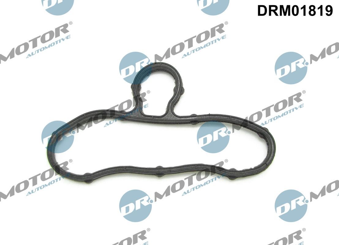 DR.MOTOR AUTOMOTIVE Gasket, timing case cover DRM01819 Nissan J10, JJ10 Timing cover gasket DRM01819 DR.MOTOR AUTOMOTIVE