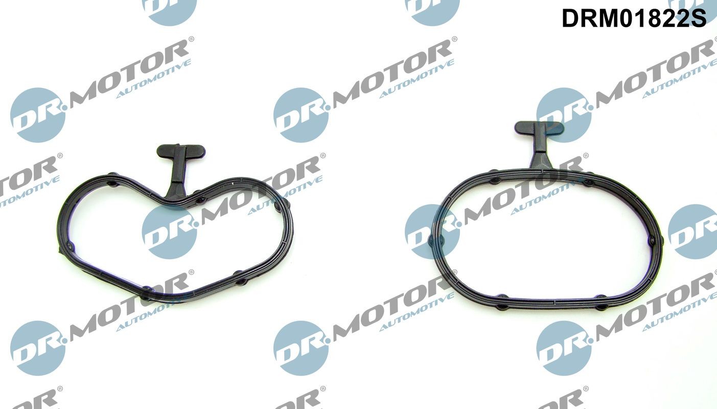 DR.MOTOR AUTOMOTIVE Tetningssett, oljekjøler DRM01822S DRM01822S Tetningssett oljekjøler DACIA LOGAN DR.MOTOR AUTOMOTIVE