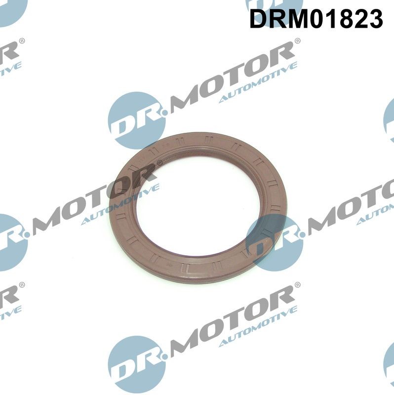 DR.MOTOR AUTOMOTIVE Akselitiiviste, kampiakseli DRM01823 DRM01823 DR.MOTOR AUTOMOTIVE Kampiakselin tiiviste RENAULT 5