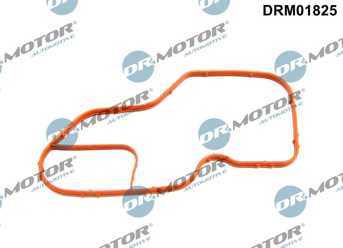 DR.MOTOR AUTOMOTIVE Pakning, termostathus DRM01825 DR.MOTOR AUTOMOTIVE DRM01825 Pakning termostat RENAULT TALISMAN originale