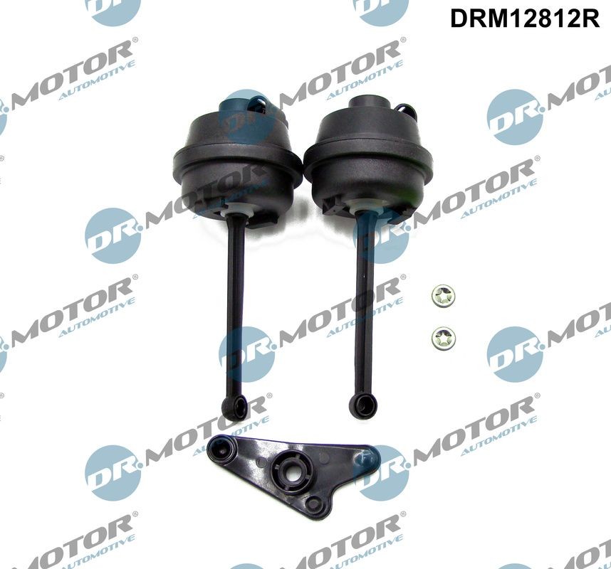 DR.MOTOR AUTOMOTIVE Reparatieset, zuigbuismodule DRM12812R DR.MOTOR AUTOMOTIVE DRM12812R Inlaatspruitstuk pakking SMART FORTWO kosten