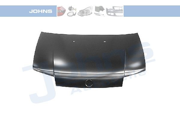 Motorpanser JOHNS 30 18 03 JOHNS 30 18 03: Panser Fiat PUNTO 2001