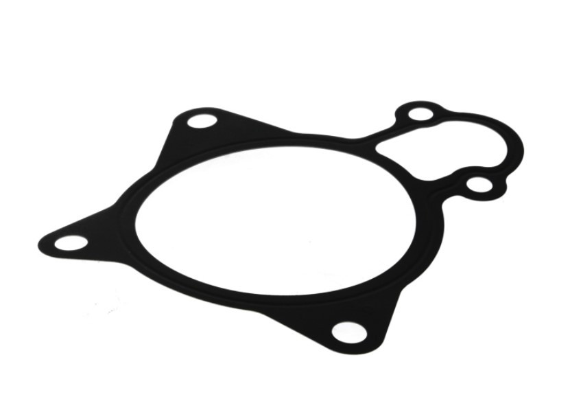 LEMA Gasket, water pump 24018.05 LEMA 24018.05 Daily Tourys water pump gasket cost