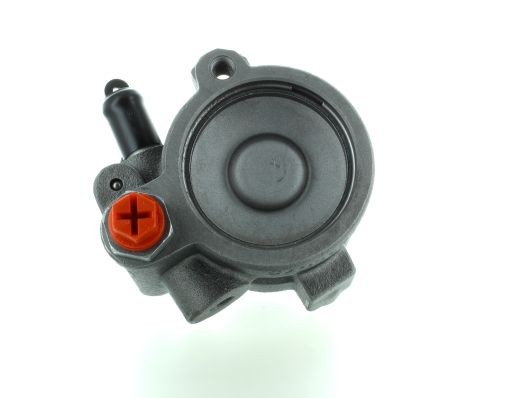 SPIDAN Bomba de direção GKNY10012 Bomba de direção hidráulica SPIDAN Renault CLIO GKNY10012