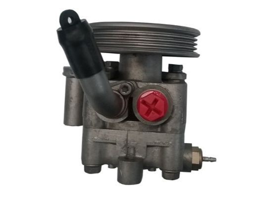 SPIDAN Roolivõimu pump GKNY10078 Roolivõimendi pump SPIDAN PAJERO SPORT GKNY10078 odav