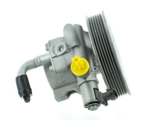SPIDAN Servo čerpadlo GKNY10135 Servo čerpadlo SPIDAN Chevrolet ORLANDO GKNY10135