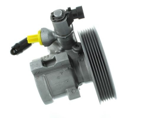 SPIDAN Pompe de direction assistée GKNY10137 Pompe assistée SPIDAN CAPTIVA GKNY10137 pas cher