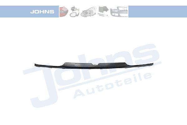 JOHNS Guarnição, grelha do radiador 95 38 06 Grelha frontal JOHNS Volkswagen NEW BEETLE 95 38 06