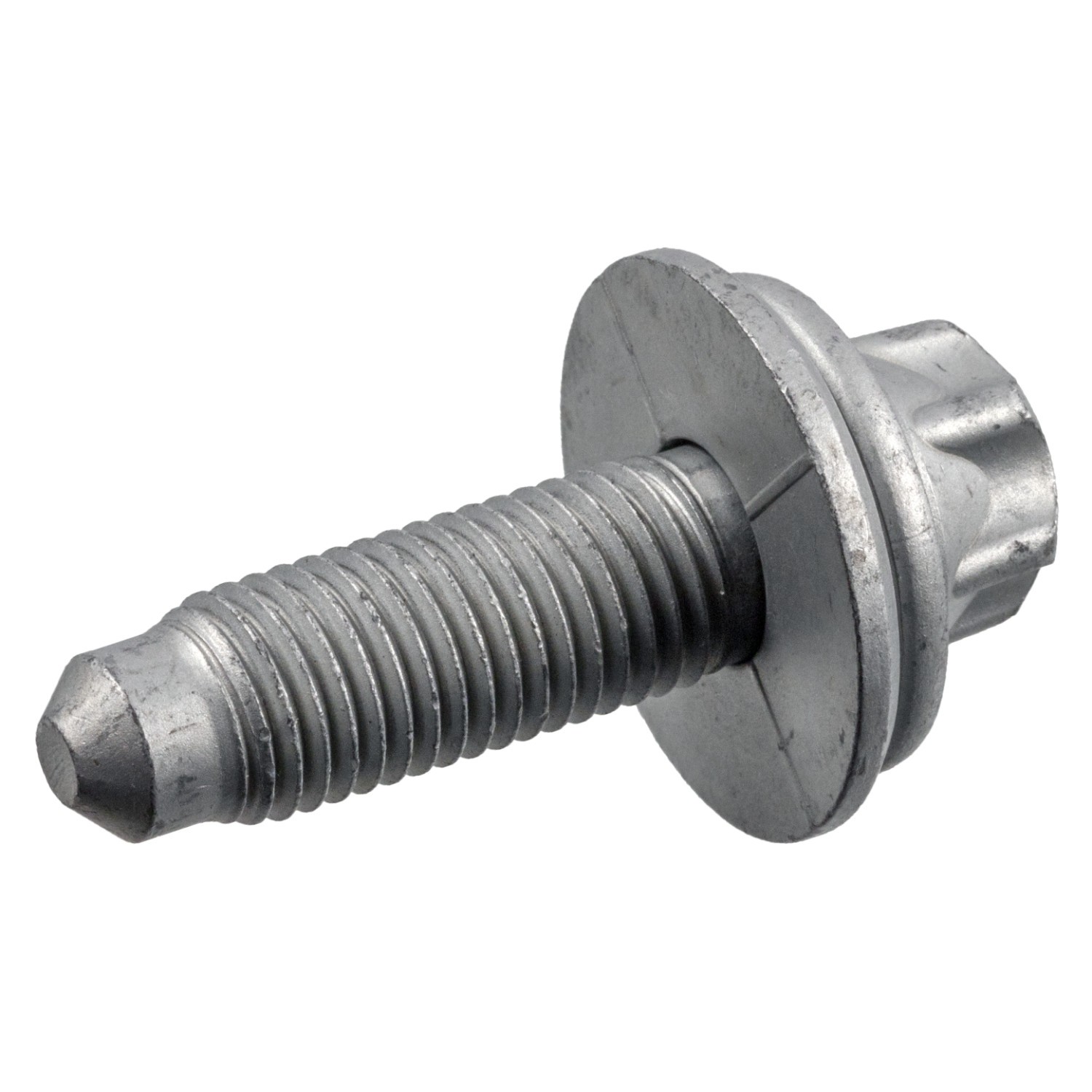 Skrue, bremsecaliper FEBI BILSTEIN 182453 FEBI BILSTEIN 182453 Bremsecaliper feste holder BMW X5 2006