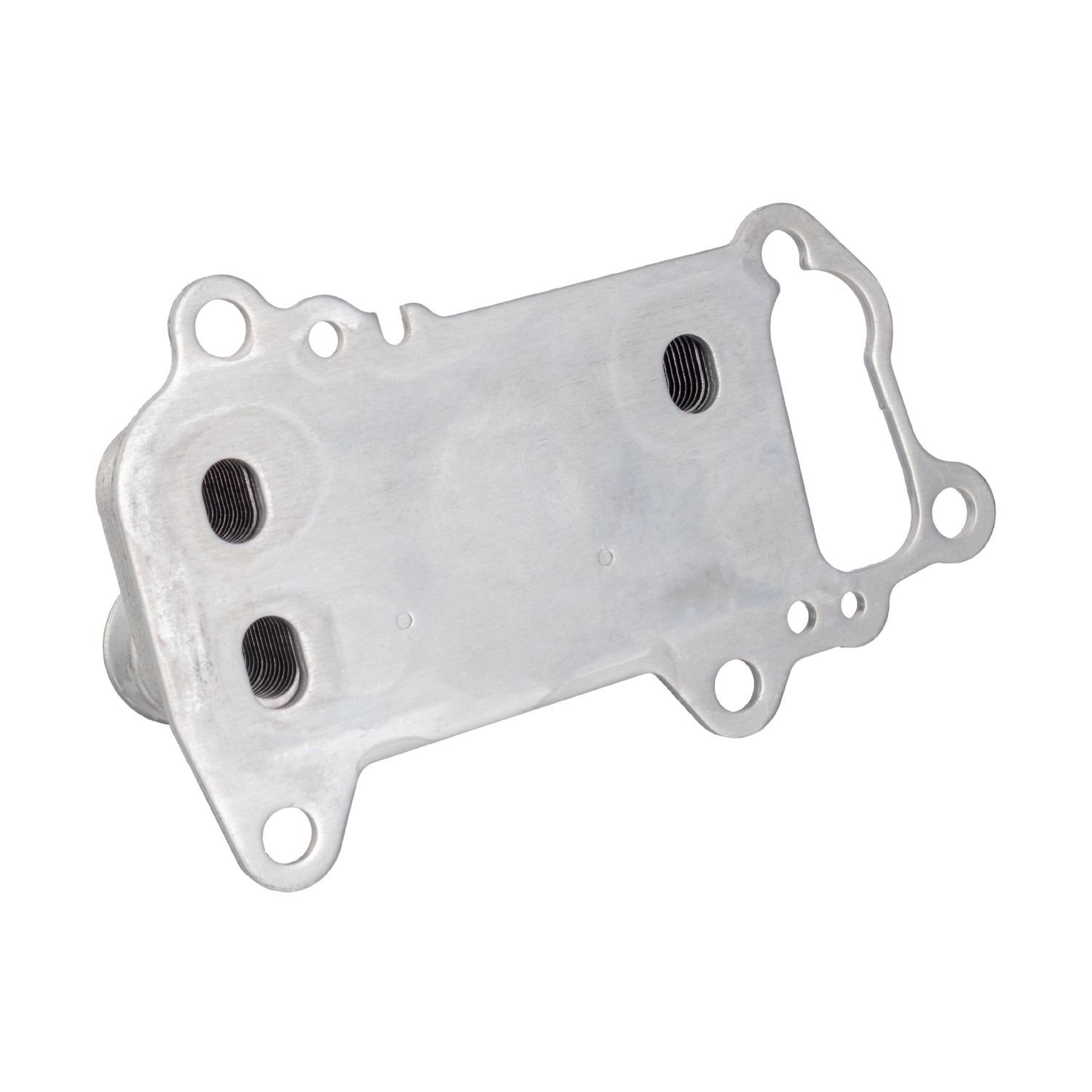 FEBI BILSTEIN Oliekoeler 185510 BMW X3 Olie-koeler FEBI BILSTEIN 185510
