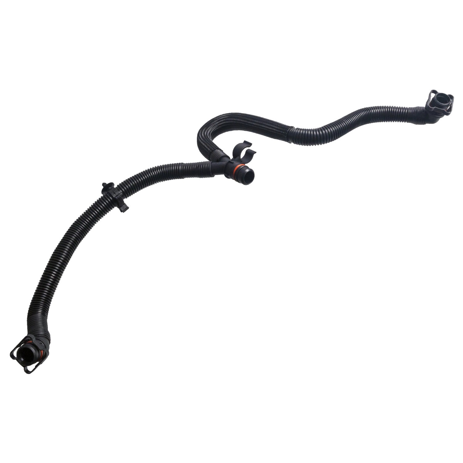 FEBI BILSTEIN Slang, ontluchting motorblok 185679 FEBI BILSTEIN 185679 Carterventilatie AUDI A6 Allroad aan een voordelige prijs
