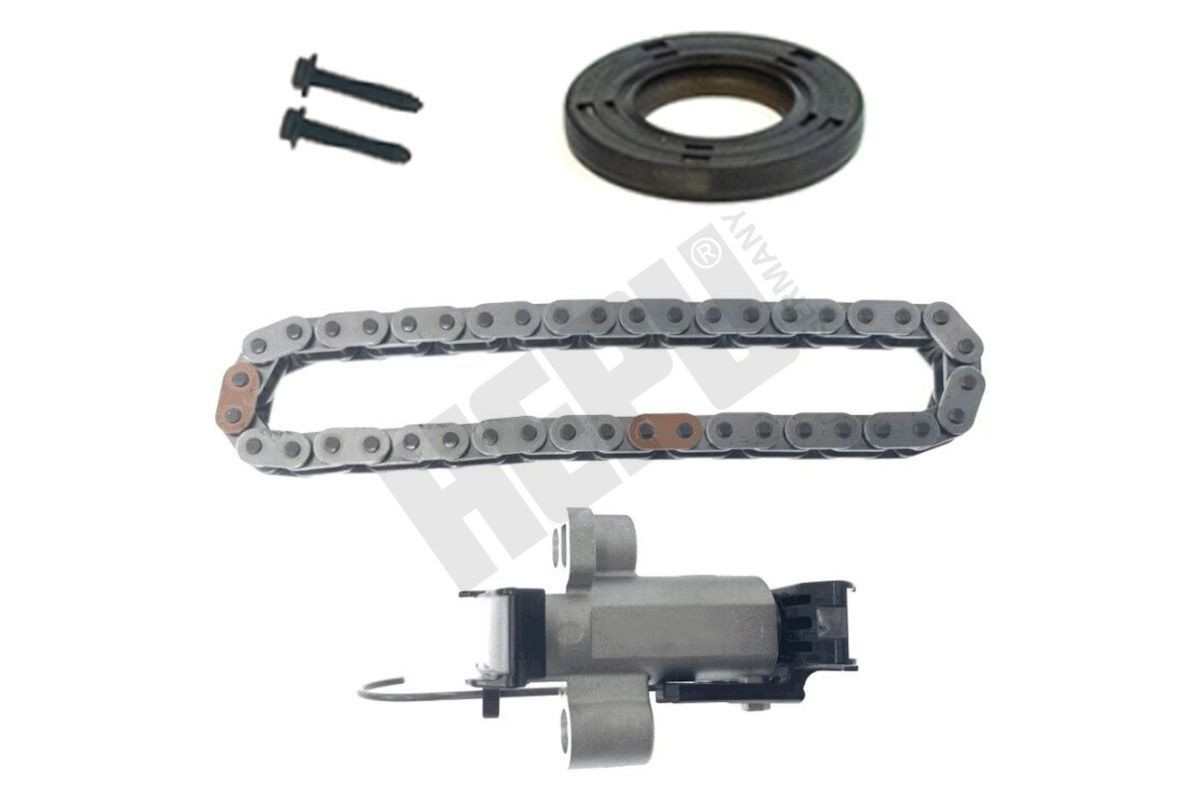 HEPU Kit de chaîne de distribution 21-0696 HEPU 21-0696 Jeu de distribution à chaînes Jumpy III Van (V) prix