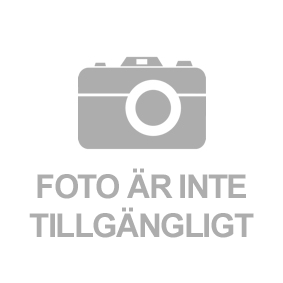 DIEDERICHS Vindruta 8413555 DIEDERICHS 8413555 Vindruta