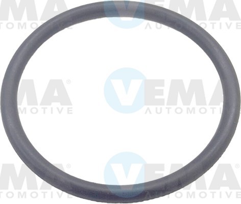 VEMA Tappet 303021 FIAT VEMA hydraulic lifter 303021
