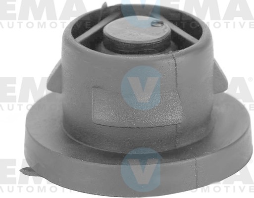 VEMA Tappet 303023 FIAT VEMA tappet 303023