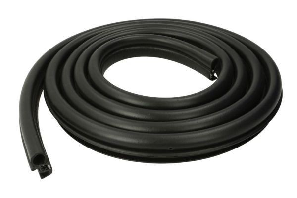 BLIC Dørtætning 5703-04-0065502P BLIC 5703-04-0065502P BMW X5 E70 Gummiliste til bildør pris